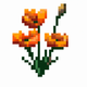 A delicate bunch of orange California poppies  app icon - ai app icon generator - app icon aesthetic - app icons