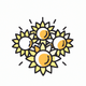 A cluster of sunny and bright sunflowers  app icon - ai app icon generator - app icon aesthetic - app icons