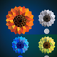 A cheerful sunflower  app icon - ai app icon generator - app icon aesthetic - app icons