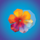A AI-generated app icon of a phlox flower in light blue color and blue color and bright yellow color and pinkish-orange color color scheme