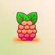 A AI-generated app icon of a mulberry in light brown color and pinkish-orange color and bright pink color and bright green color color scheme