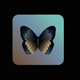 A AI-generated app icon of a butterfly in gainsboro , slate blue , jet black , tan color scheme