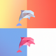 A curious and friendly dolphin  app icon - ai app icon generator - app icon aesthetic - app icons