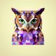 A AI-generated app icon of owl in yellow green , medium purple , indigo , beige color scheme