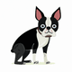 A AI-generated app icon of a Boston Terrier dog in olive drab , sea green , army green , mint green color scheme