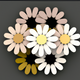 A cluster of fluffy, white daisies  app icon - ai app icon generator - app icon aesthetic - app icons