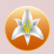 A simple, elegant white lily  app icon - ai app icon generator - app icon aesthetic - app icons
