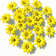 A cheerful spray of bright yellow daisies  app icon - ai app icon generator - app icon aesthetic - app icons