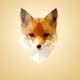 A AI-generated app icon of a fox in lilac , yellow orange , clear , mint blue color scheme