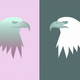 A proud, regal eagle  app icon - ai app icon generator - app icon aesthetic - app icons