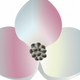 A delicate and beautiful pink dogwood blossom  app icon - ai app icon generator - app icon aesthetic - app icons