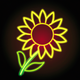 A brilliant and buttery yellow sunflower  app icon - ai app icon generator - app icon aesthetic - app icons