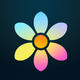 A AI-generated app icon of a daisy in mahogany color and seafoam green color and burnt orange color and light pink color color scheme