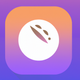 A AI-generated app icon of a cantaloupe in rich purple color and pastel orange color and light blue color and brown color color scheme
