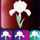 A fresh and lovely purple iris  app icon - ai app icon generator - app icon aesthetic - app icons
