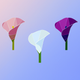 A graceful, gently-curved calla lily  app icon - ai app icon generator - app icon aesthetic - app icons