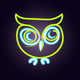 A curious, wide-eyed owl  app icon - ai app icon generator - app icon aesthetic - app icons