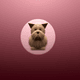 A AI-generated app icon of a Cairn Terrier dog in marsala , sandy brown , ghost white , rose color scheme