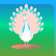 A regal peacock  app icon - ai app icon generator - app icon aesthetic - app icons
