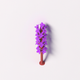 A tall, slender lavender stem with purple flowers  app icon - ai app icon generator - app icon aesthetic - app icons
