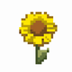 A brilliant and buttery yellow sunflower  app icon - ai app icon generator - app icon aesthetic - app icons