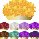A fragrant and colorful set of lilacs  app icon - ai app icon generator - app icon aesthetic - app icons