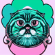 An app icon of  an exotic shorthair cat with pastel green and rose gold scheme color