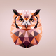 A AI-generated app icon of owl in cornflower blue , peach puff , gunmetal grey , deep sky blue color scheme
