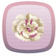 A pretty, whimsical frilly pink carnation  app icon - ai app icon generator - app icon aesthetic - app icons