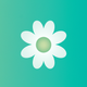 A chic and simple white daisy  app icon - ai app icon generator - app icon aesthetic - app icons