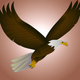A majestic, soaring bald eagle  app icon - ai app icon generator - app icon aesthetic - app icons