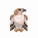 A AI-generated app icon of a falcon in deep orange color and reddish brown color and light gray color and bluish gray color color scheme