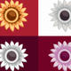 A lush, full-headed sunflower  app icon - ai app icon generator - app icon aesthetic - app icons