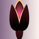 An elegant and symmetrical tulip in bloom  app icon - ai app icon generator - app icon aesthetic - app icons