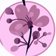 A delicate pink cherry blossom  app icon - ai app icon generator - app icon aesthetic - app icons