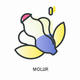 A stylized magnolia blossom  app icon - ai app icon generator - app icon aesthetic - app icons