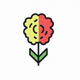 a carnation flower app icon - ai app icon generator - app icon aesthetic - app icons