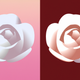 A rich, full-bodied red rose  app icon - ai app icon generator - app icon aesthetic - app icons