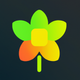 A AI-generated app icon of a daffodil in eggplant color and sepia color and sage green color and mint green color color scheme