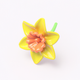 A bold, bright yellow daffodil  app icon - ai app icon generator - app icon aesthetic - app icons