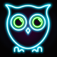 A playful, wide-eyed baby owl  app icon - ai app icon generator - app icon aesthetic - app icons