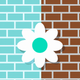 A chic and simple white daisy  app icon - ai app icon generator - app icon aesthetic - app icons