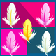 A collection of vibrant bird feathers  app icon - ai app icon generator - app icon aesthetic - app icons