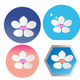 A delicate pink blossom on a white background  app icon - ai app icon generator - app icon aesthetic - app icons