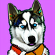 An app icon of a husky with red color scheme