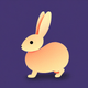 An app icon of a rabbit with red color scheme