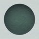 An app icon of an image of a round shape with dark sea green and sea green color scheme