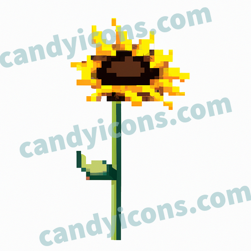 A beautiful, towering sunflower  app icon - ai app icon generator - phone app icon - app icon aesthetic